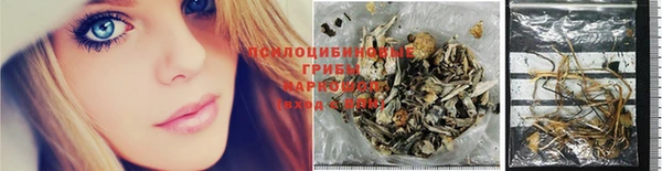 стафф Алексин