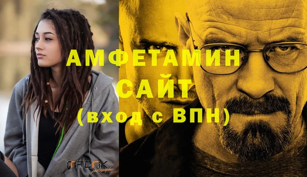 стафф Алексин